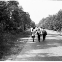 Image102