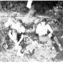 Image202