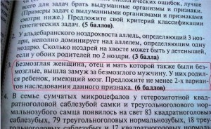 4056355-R3L8T8D-650-1870166_original
